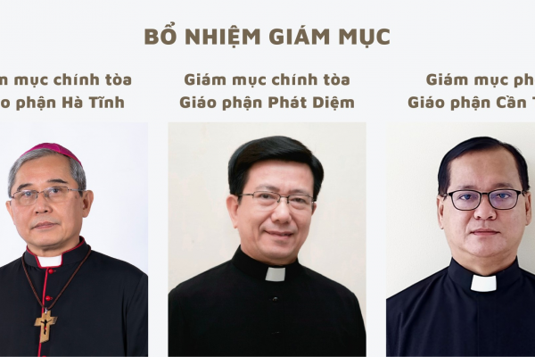 Đức Thánh Cha bổ nhiệm Giám mục Chính Tòa cho hai giáo phận Hà Tĩnh và Phát Diệm và Giám mục Phó Giáo phận Cần Thơ