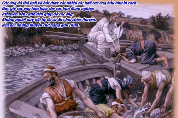 Thánh Kinh bằng hình: Chúa nhật 5 Thường niên năm C